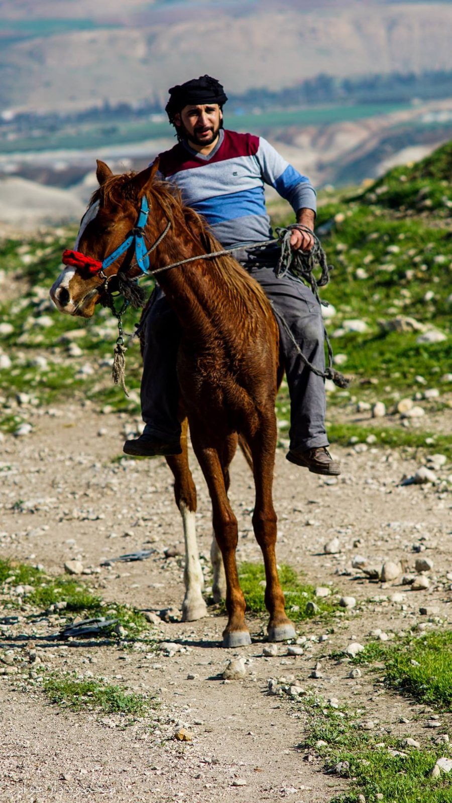 صور حمزة (84)