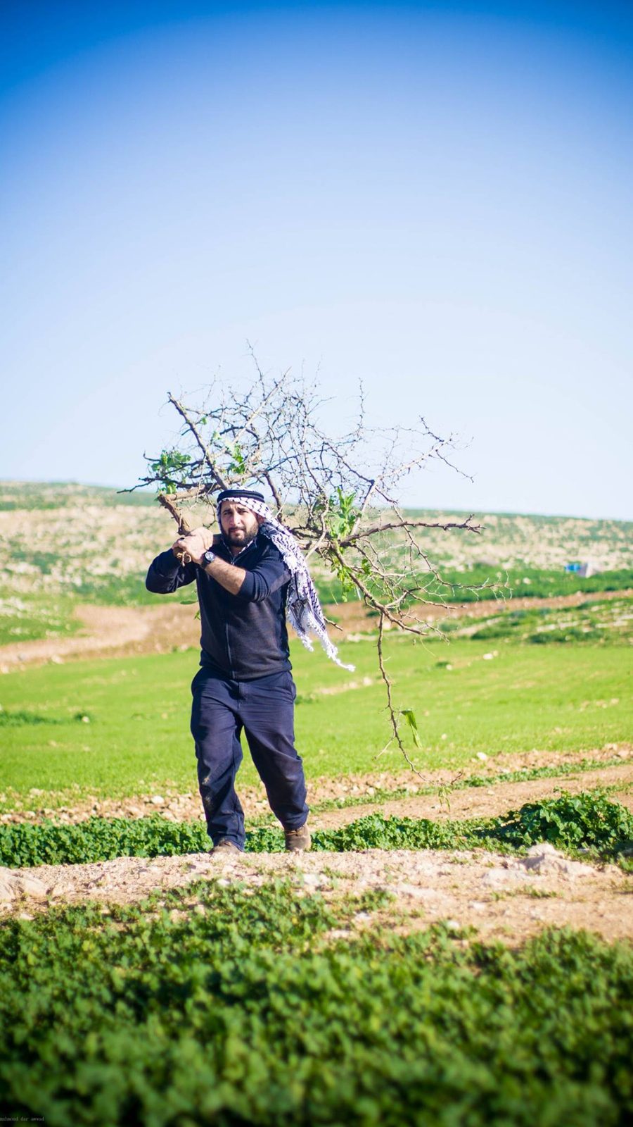 صور حمزة (86)