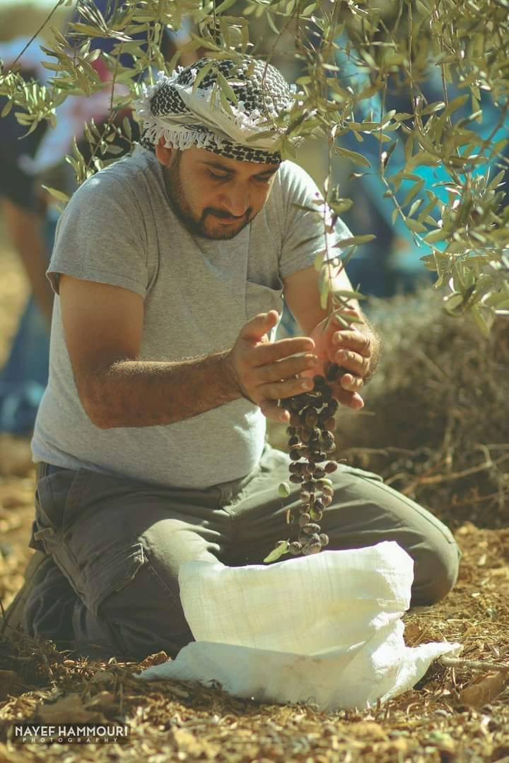 صور حمزة (155)