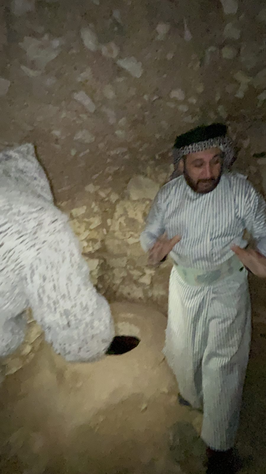 صور حمزة (172)
