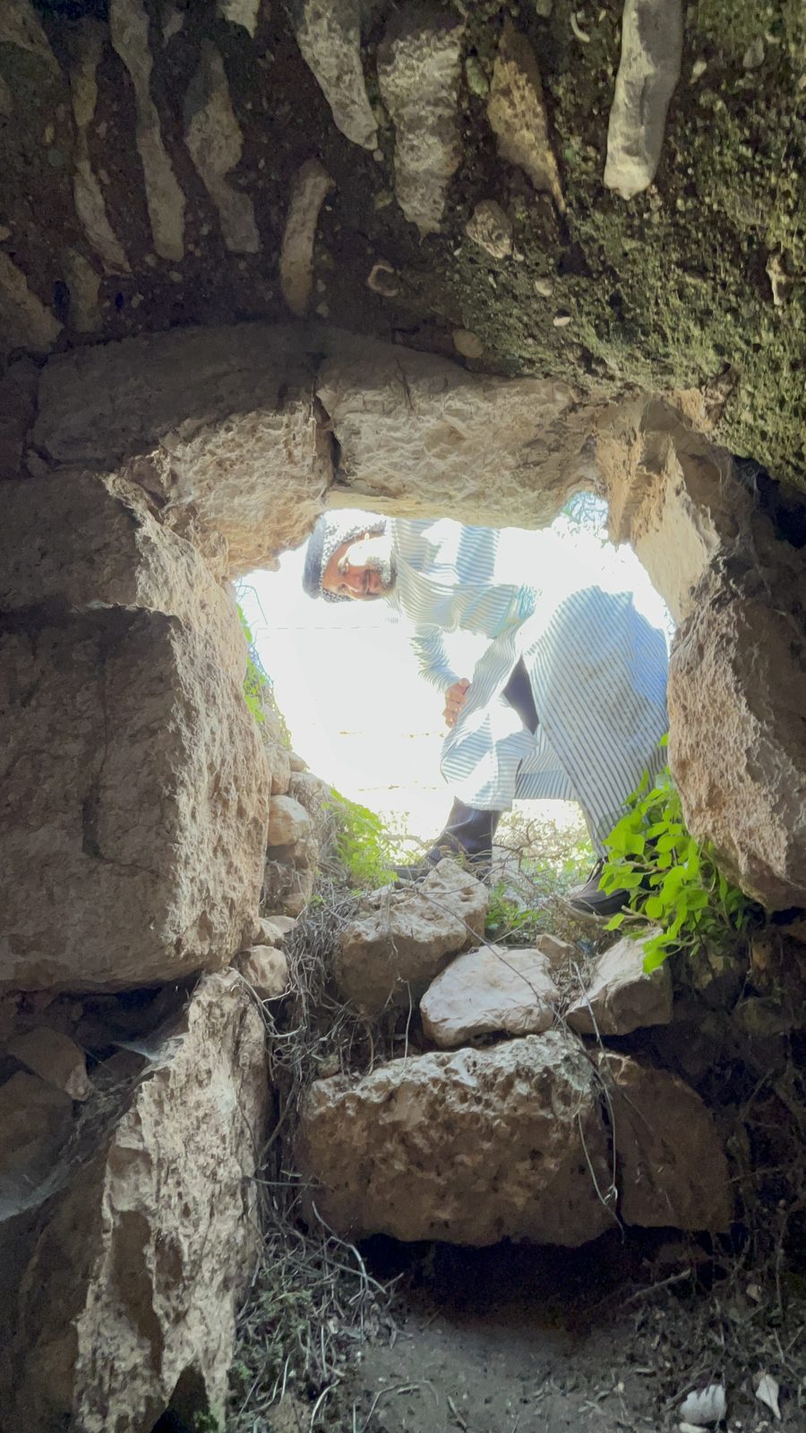 صور حمزة (181)