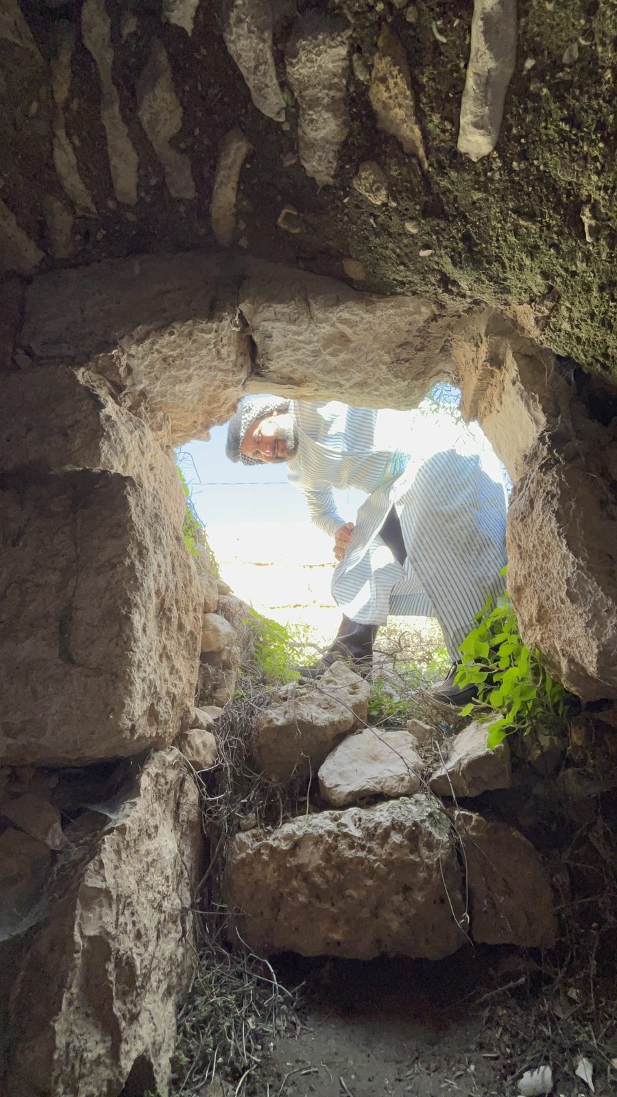 صور حمزة (182)