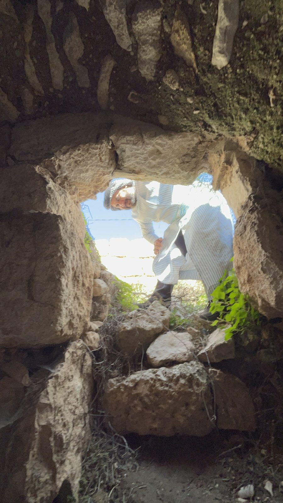 صور حمزة (183)