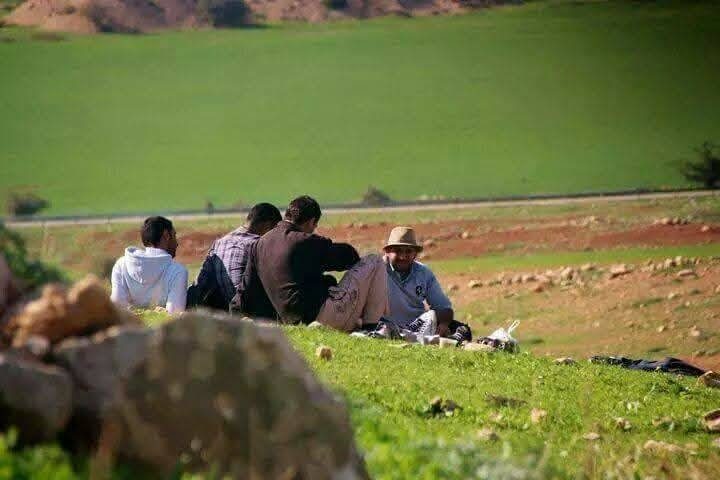 جولات وتجوال (32)
